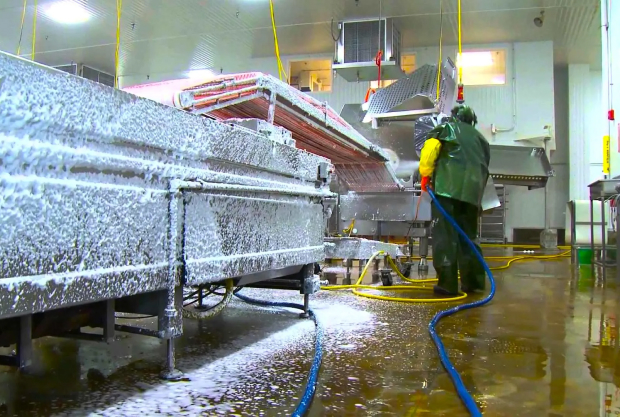 Red Dot Industrial Services